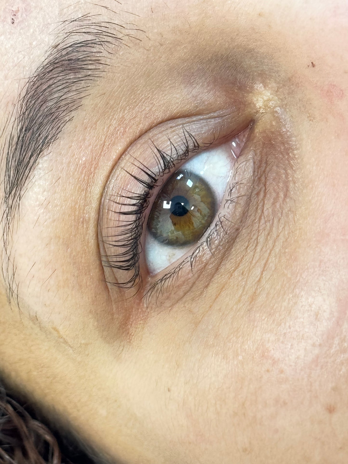 🎓 Formação Designer de Sobrancelhas + Henna (Oferta) + Lash Lifting